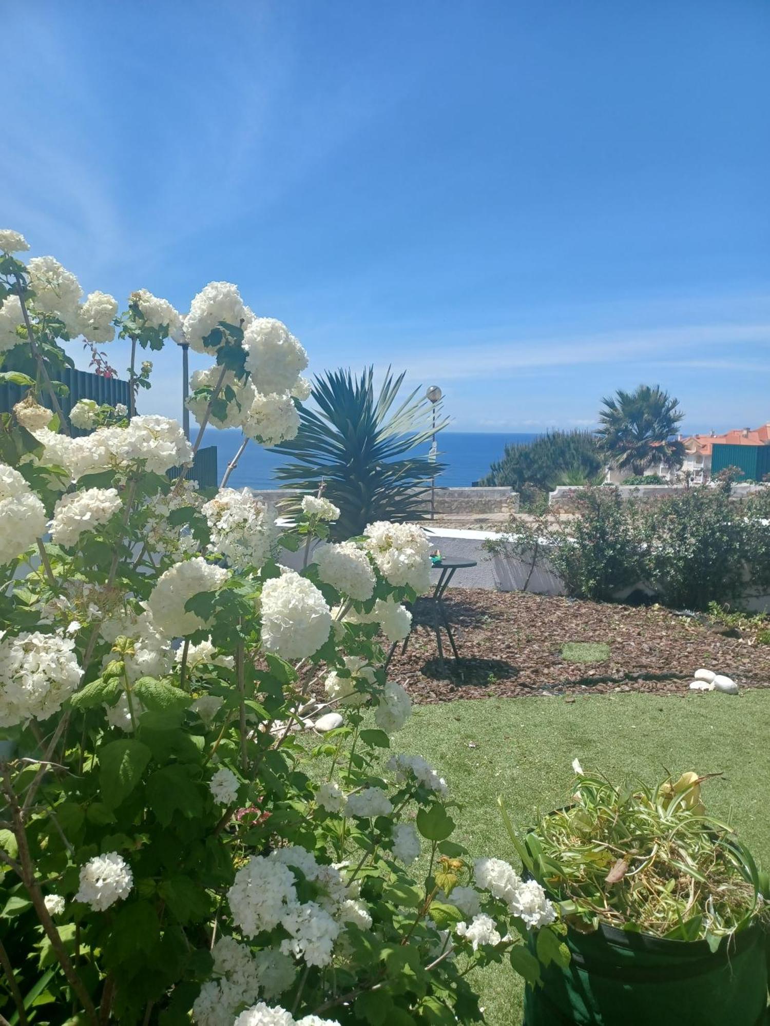 Ericeira Su Villa'S Extérieur photo