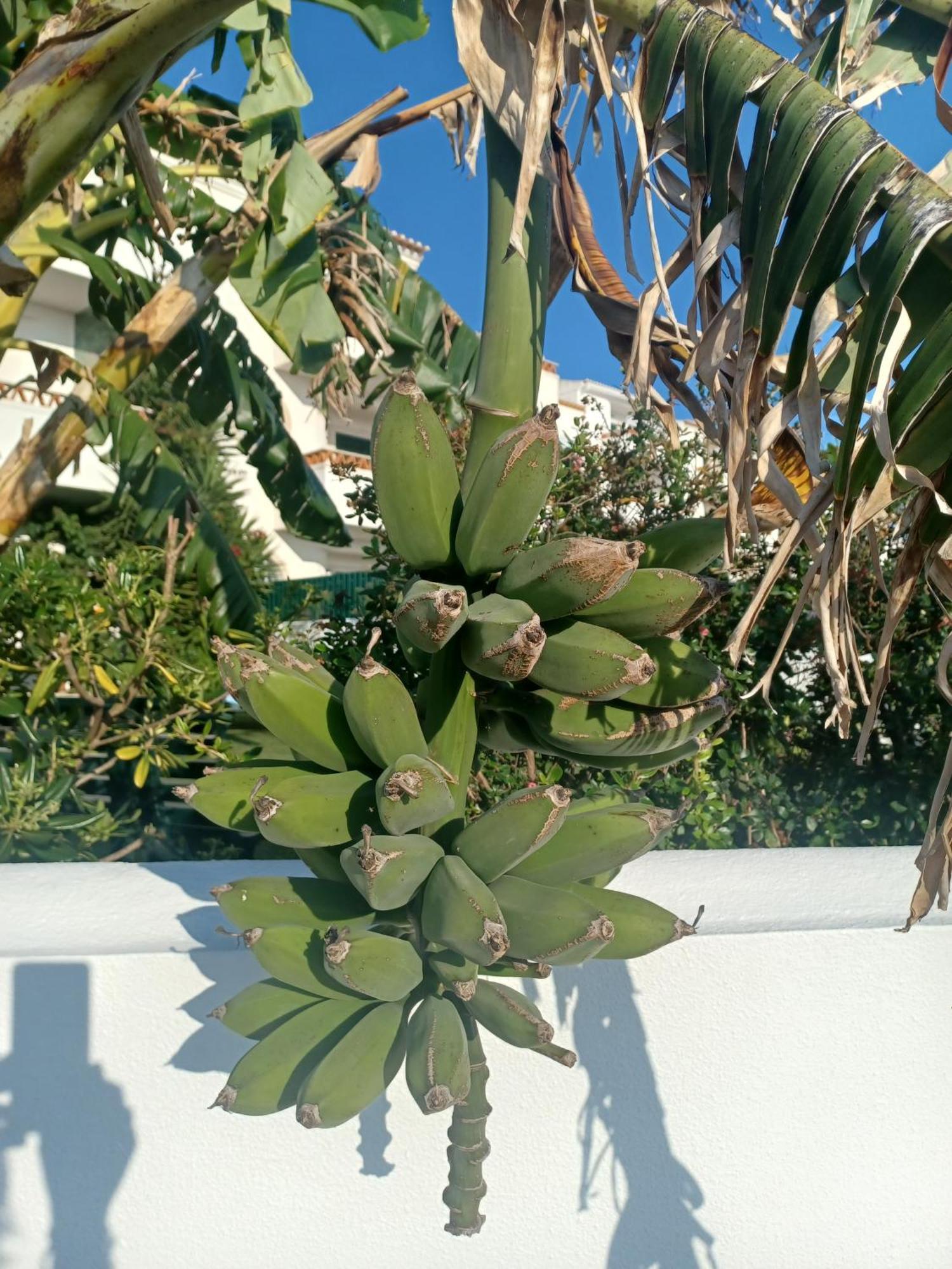 Ericeira Su Villa'S Extérieur photo