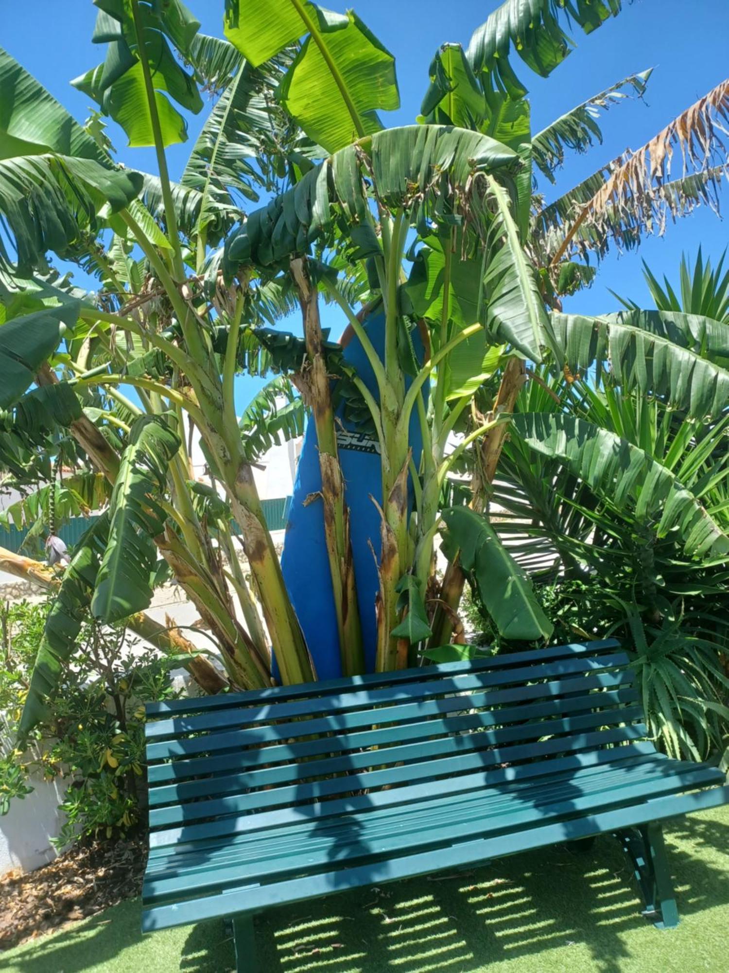 Ericeira Su Villa'S Extérieur photo