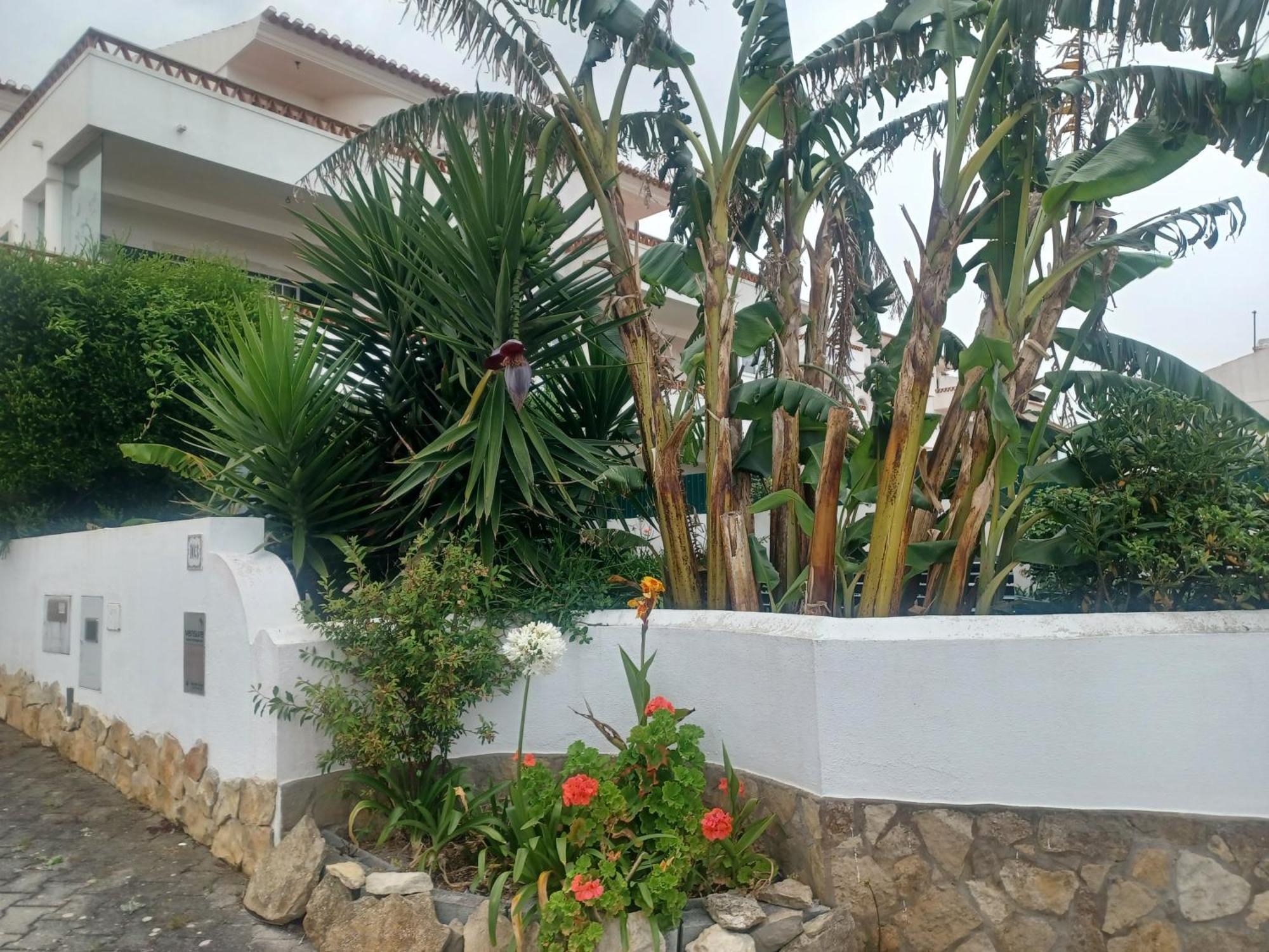 Ericeira Su Villa'S Extérieur photo